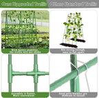 Cucumber Trellis for Raised Beds, 31 X 47 Inch Adjustable Size A-Frame Garden - Image 4