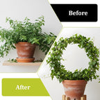 2 Pcs Trellis for Climbing Plants Indoor 14.5" Hoya Trellis Set Small Plant - Image 4