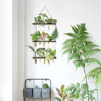Mkono Plant Propagation Tubes, 3 Tiered Wall Hanging Terrarium - Image 2