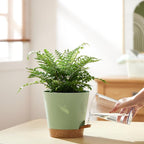 FaithLand 2-Pack 8 Inch Planter Pots - Image 7
