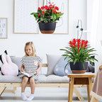 Hanging Planters for Indoor Plants - Image 3