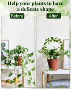 Unique Round Hoya Trellis, Garden Trellis Plant Support - Image 5