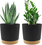 QCQHDU 6.5 inch Plant Pot, 2 Pack Planters by QCQHDU