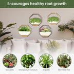 IRYL Wall Planter for Indoor Plants - Image 4