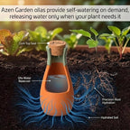 Ollas Plant Watering Globes - Image 2