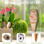Self Watering Planter Insert Terracotta Watering Spikes Premium Plant Watering - Image 2