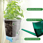 Cdd's Path Large Naked Root Planter Self Watering Pots Set - Image 3
