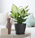 4/4.5/5/5.5/6/6.5/7 Inch Plant Pots, 7 Pack Flower Pots - Image 4