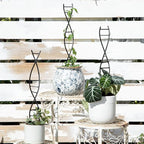 DNA Spiral Plant Trellis Indoor - Image 6