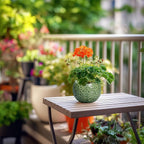 Ceramic Plant Pots - Image 7