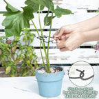 Monstera Plant Stem Support Set - Image 4