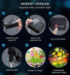 Solar Garden Lights Outdoor, 2 Pack Upgraded Succulent Solar Flowers Outside - Image 6
