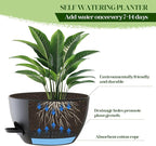2 Pack 10 Inch Self Watering Hanging Planters - Image 6