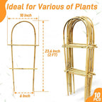 Avalution 10 Pack Bamboo U Trellis - Image 5