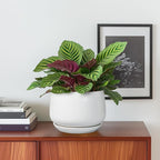 G EPGardening Ceramic Pots for Plants - Image 2
