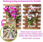 ShopLaLa Wall Planters - Image 5