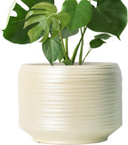 10 Inch Ceramic Plant Pot with Drainage – Large Flower Pot by Bestseler
