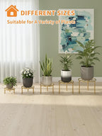5 Pack Metal Plant Stands 5-Pack Round Supports Display Rack Tiered Plant Stand - Image 7
