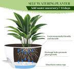 2 Pack 10 Inch Self Watering Hanging Planters - Image 6