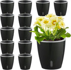 Self Watering Pots for Indoor Plants, Small African Violet Pots by KvyusFlourish