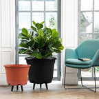 5 Pack 10.5 inch Plant Pots, Planter-Pots-for-Plants，Plastic Flower Pot - Image 5