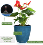 Dexceder 18x17 Self Watering Planter - Image 5