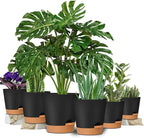 GARDIFE Plant Pots 8/7/6.5/6/5.5/5 Inch Self Watering Planters - Image 2