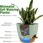 Large Self Watering Pots, 12/10/9 Plastic Planters - Image 3
