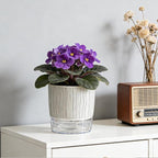 Self Watering Pots for Indoor Plants, 4 and 5.3 Inch - Image 6