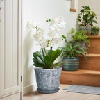 Ceramic Pots for Plants - Image 6