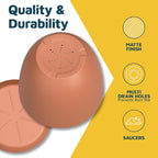 Terracotta Plant Pots with Drainage Holes & Saucers 3 Pack, Indoor & Outdoor - Image 7