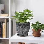 6.3 Inch Plant Pot - Image 2