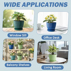 Plastic Plant Pots, 6 Pack 7.5 Inch Flower Pots - Image 6