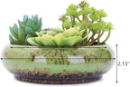VanEnjoy 7.3 inch Round Large Shallow Succulent Ceramic Glazed Planter Pots - Image 2