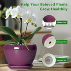 Ceramic Pots for Plants 6 Inch - Image 4