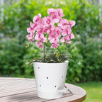 Orchid Pots with Holes, 6 Inch Self Watering Orchid Pot 2 Pack Plastic Plant - Image 7
