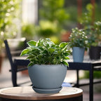 Ceramic Pot for Plants - Image 4