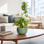 6 Inch Plant Pot - Image 6