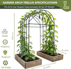 Garden Trellis Arch 7FT Tall – Plastic Coated Metal Arch Trellis - Image 3