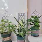 Metal Trellis for Climbing Plants Indoor, 16.36 inch Small Trellis for Potted - Image 8