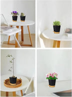 5 Pack 5 inch Self-Watering Pots, African Violets Planter - Image 4