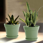 WOUSIWER 16 Pack 6 inch Plastic Planters, Plastic Indoor Planter Flower Pots - Image 7