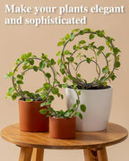 3 Pcs Different Sizes Metal Hoya Trellis, Small Round Indoor Plant Trellis - Image 3