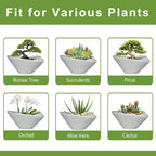 Bonsai Pots 13 Inch - Image 7