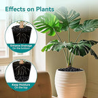 30 lbs Black Rocks for Planters, Polished Garden Stones for Outdoor Landscaping - Image 3