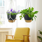 10 inch Self Watering Hanging Planters, 2 Pack Hanging Flower Pots - Image 7