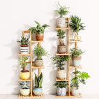 Bamboo 5 Tier 6 Potted Plant Stand Rack Multiple Flower Pot Holder Shelf Indoor - Image 5