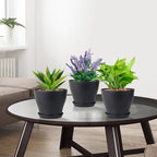 6 inch Plastic Nursery Pots, 16 Pack Plant Pots - Image 6
