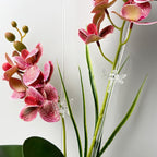 30Pcs Acrylic Plant Stakes Garden Single Stem Plant Support Stakes Clear Orchid - Image 3