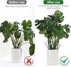 12 Pack Plant Support Stakes, Plant Stakes - Image 5
